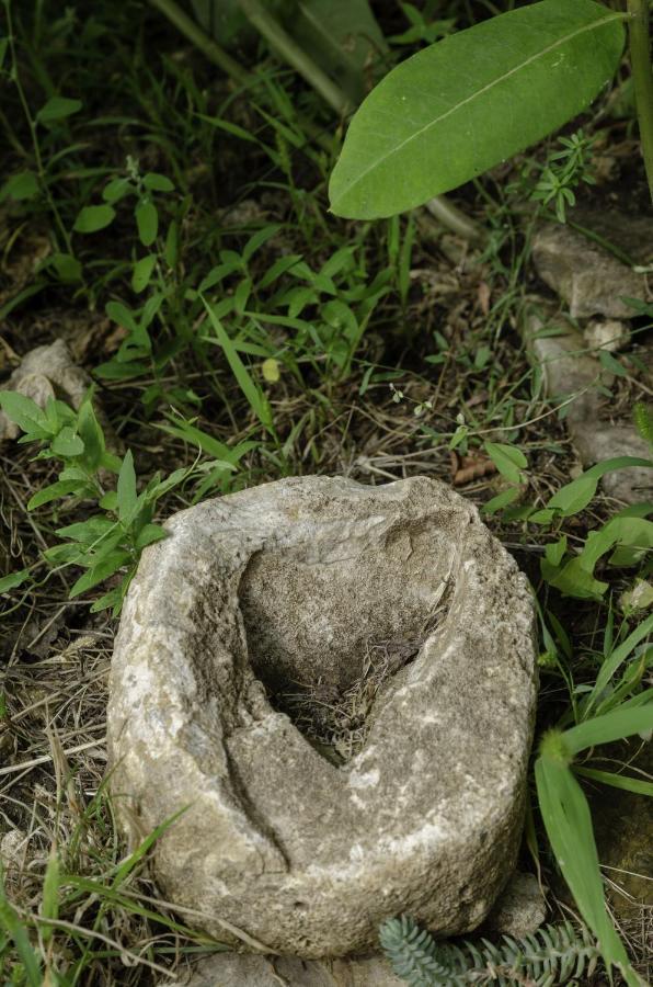 Égrelátó Vendégház Balatonakali Exterior foto